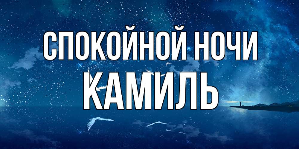Открытка на каждый день с именем, Камиль Спокойной ночи птицы летят на фоне ночного неба Прикольная открытка с пожеланием онлайн скачать бесплатно 