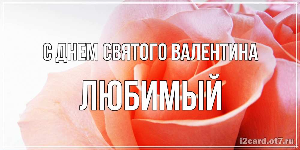 Открытка на каждый день с именем, Любимый С днем Святого Валентина открытка на день Святого Валентина с розовой розой Прикольная открытка с пожеланием онлайн скачать бесплатно 