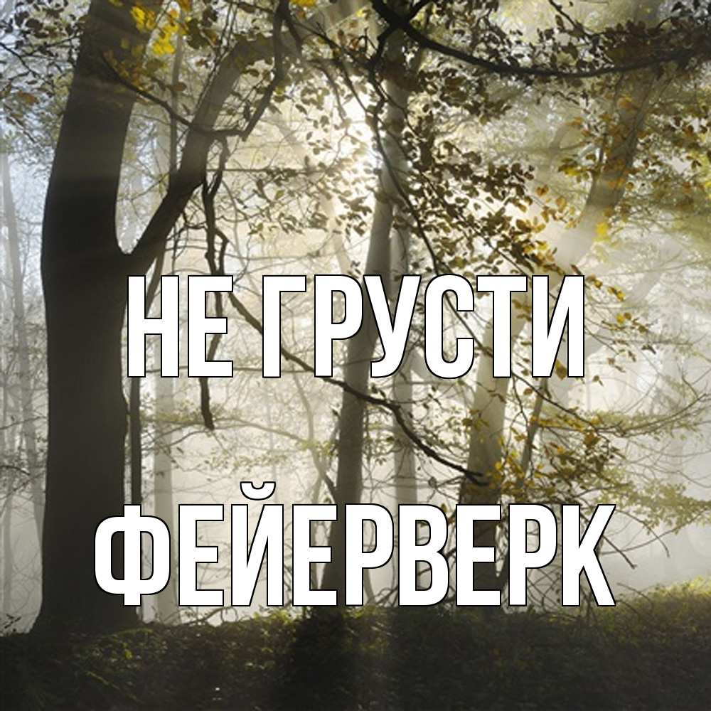 Открытка на каждый день с именем, Фейерверк Не грусти лес и свет Прикольная открытка с пожеланием онлайн скачать бесплатно 