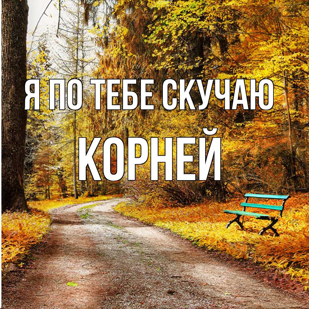 Открытка на каждый день с именем, Корней Я по тебе скучаю зеленая лавочка и осенний лес Прикольная открытка с пожеланием онлайн скачать бесплатно 