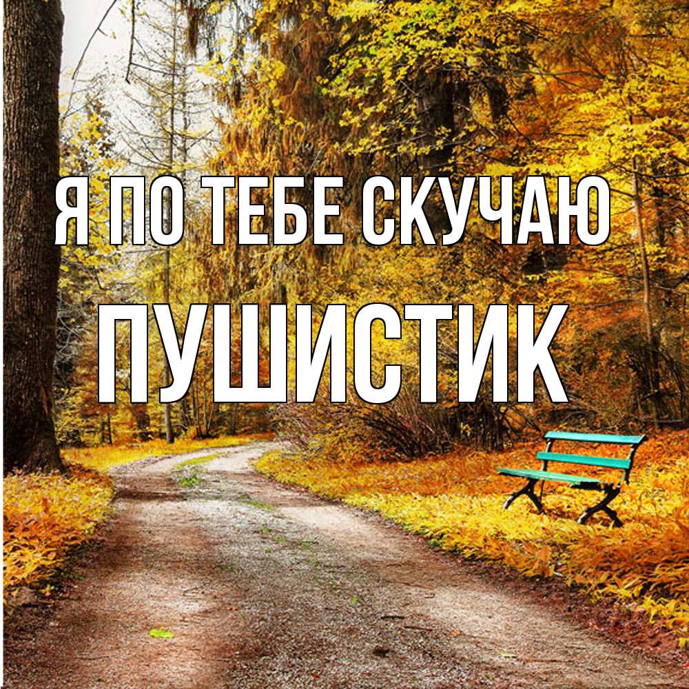 Открытка на каждый день с именем, Пушистик Я по тебе скучаю зеленая лавочка и осенний лес Прикольная открытка с пожеланием онлайн скачать бесплатно 