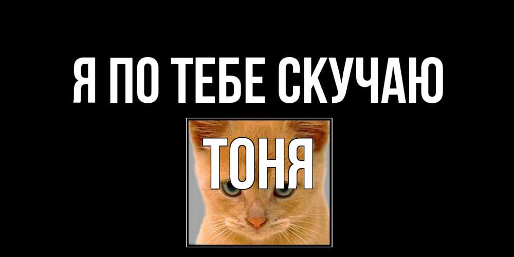 Открытка на каждый день с именем, Тоня Я по тебе скучаю открытки рыжий котенок скучает по тебе Прикольная открытка с пожеланием онлайн скачать бесплатно 