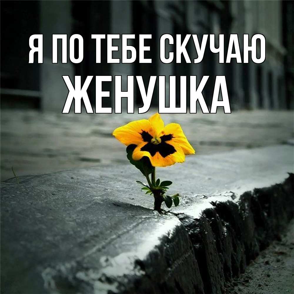 Открытка на каждый день с именем, женушка Я по тебе скучаю надеюсь будет лучше Прикольная открытка с пожеланием онлайн скачать бесплатно 