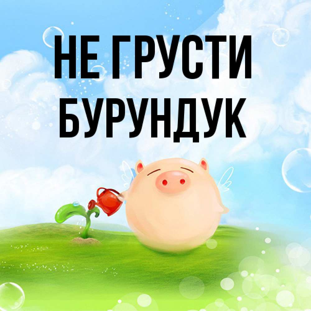 Открытка на каждый день с именем, Бурундук Не грусти поливает цветок порося Прикольная открытка с пожеланием онлайн скачать бесплатно 
