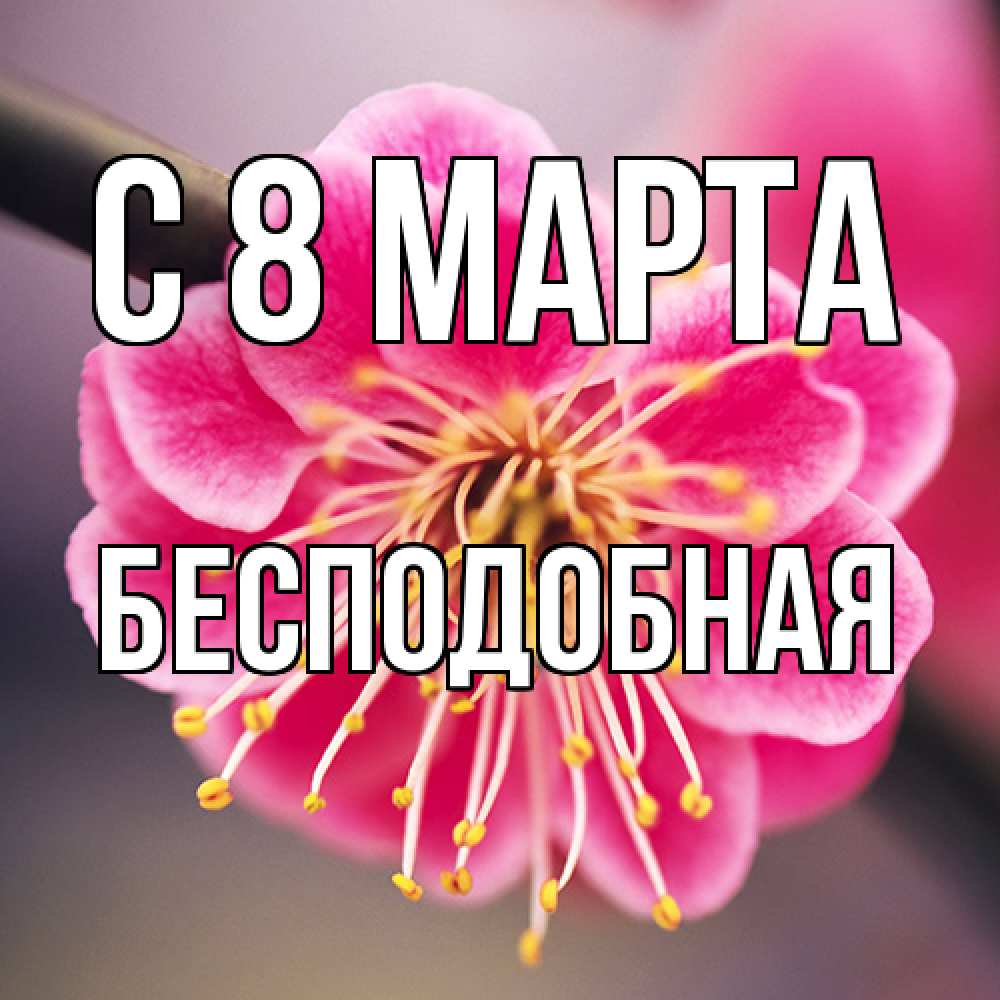 Открытка на каждый день с именем, бесподобная C 8 МАРТА цветы Прикольная открытка с пожеланием онлайн скачать бесплатно 