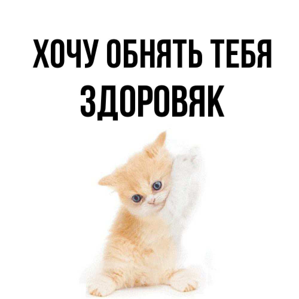 Открытка на каждый день с именем, Здоровяк Хочу обнять тебя я хочу очень скорее обнимаешек Прикольная открытка с пожеланием онлайн скачать бесплатно 