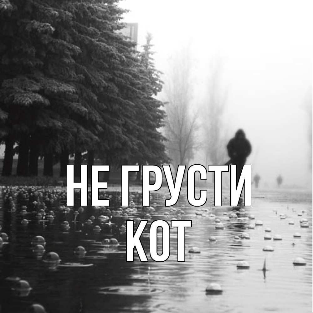 Открытка на каждый день с именем, Кот Не грусти улица под дождем Прикольная открытка с пожеланием онлайн скачать бесплатно 