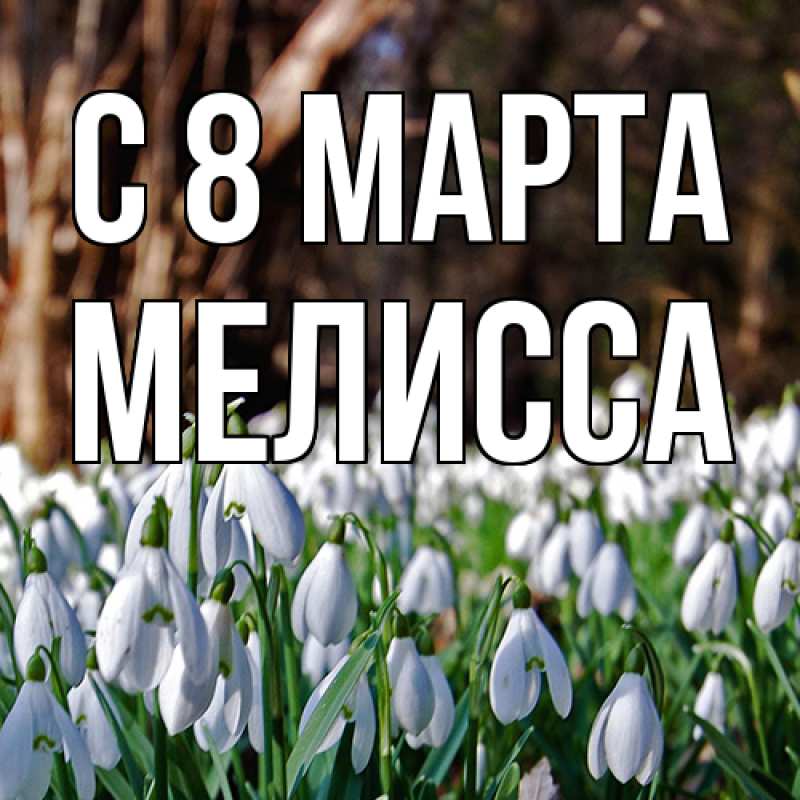 Картинка C 8 МАРТА, Мелисса