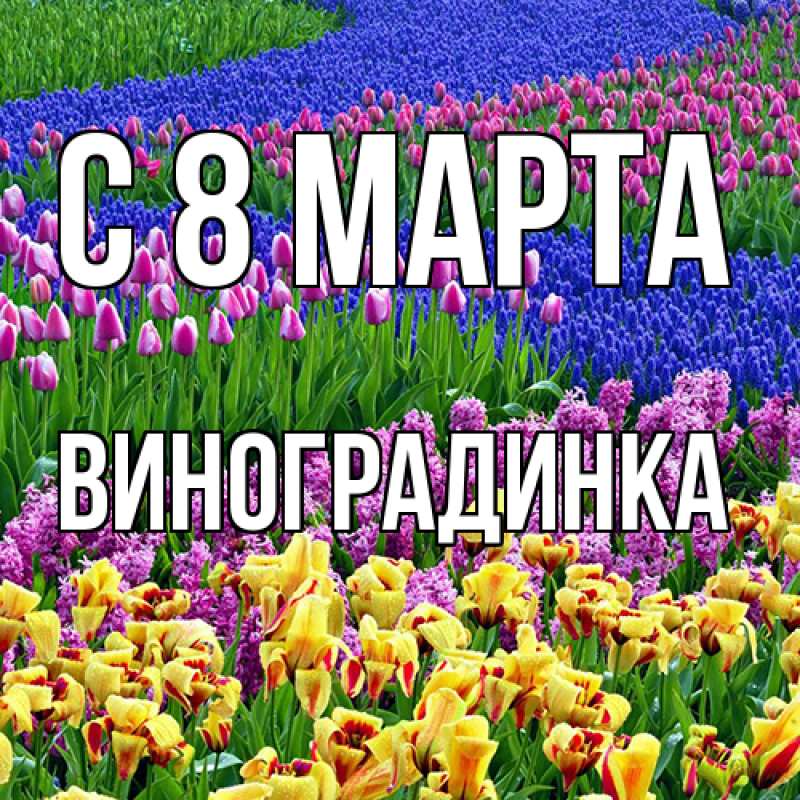Картинка C 8 МАРТА, виноградинка