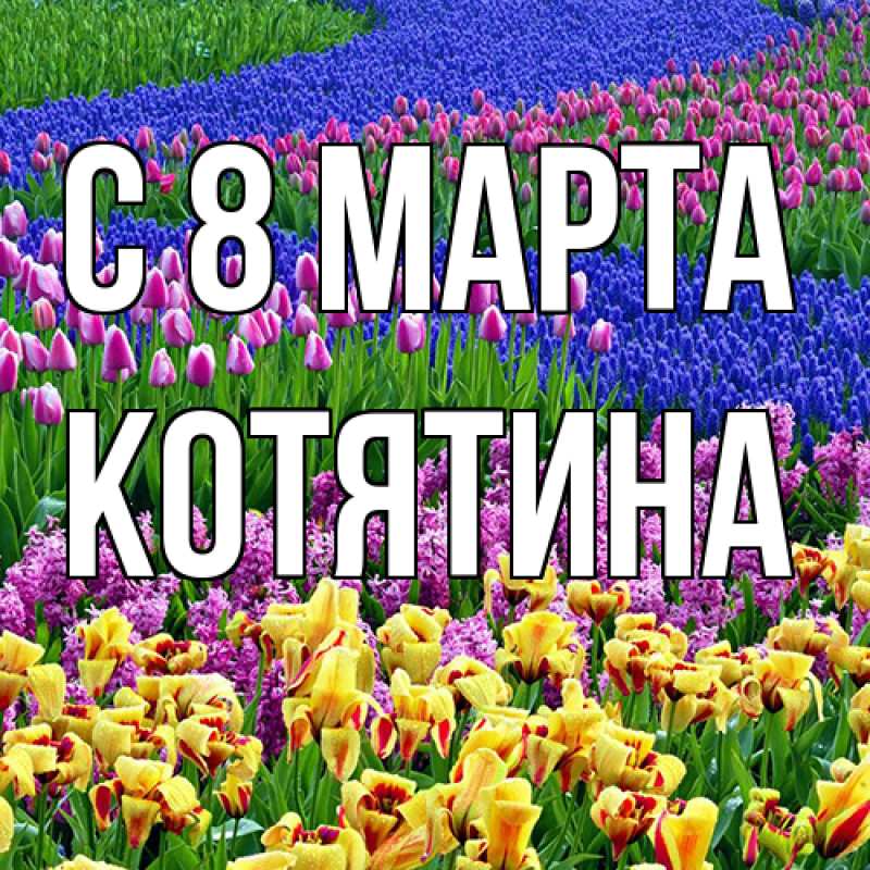 Картинка C 8 МАРТА, Котятина