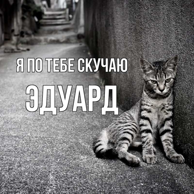 Картинка Я по тебе скучаю, Эдуард