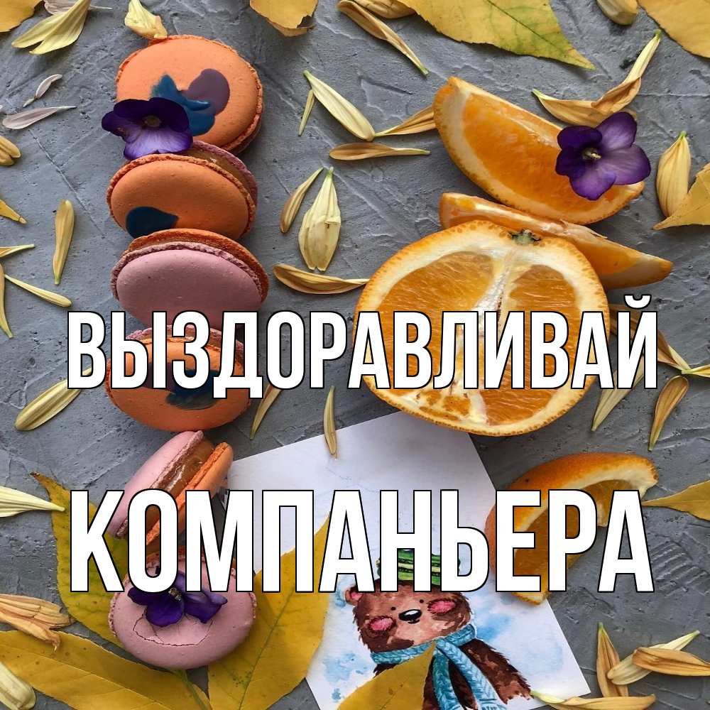 Открытка на каждый день с именем, Компаньера Выздоравливай не болейте Прикольная открытка с пожеланием онлайн скачать бесплатно 
