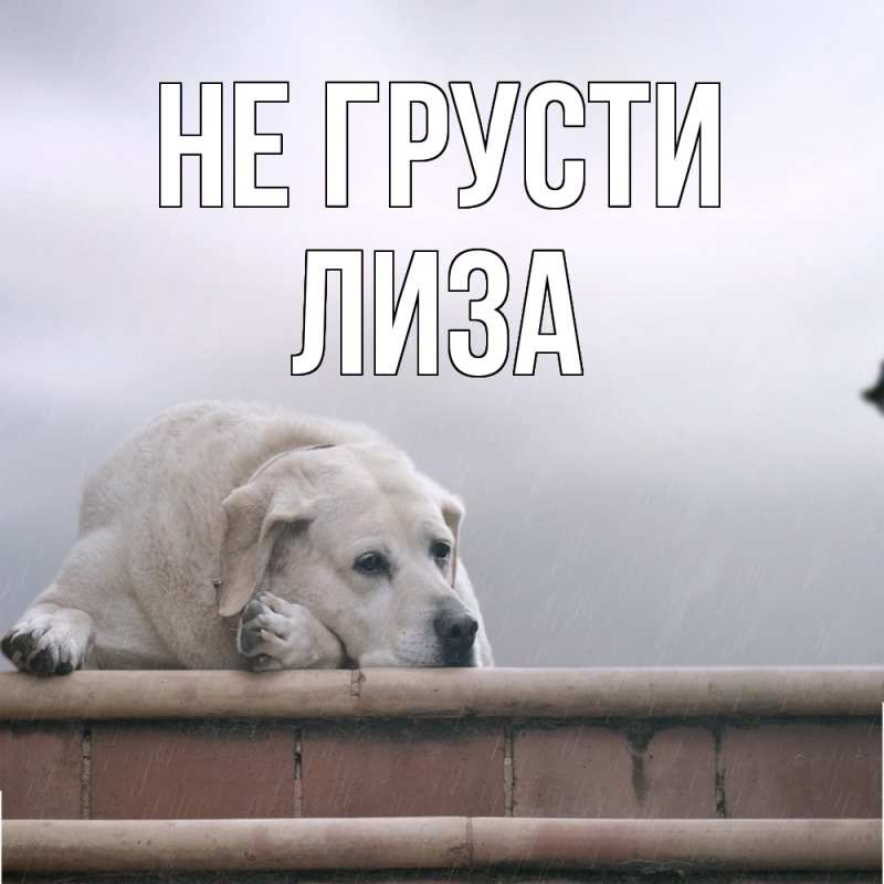 Картинка Не грусти, Лиза