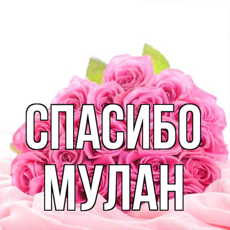 Картинка Спасибо, Мулан