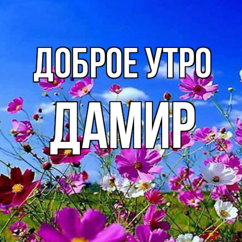 Картинка Доброе утро, Дамир