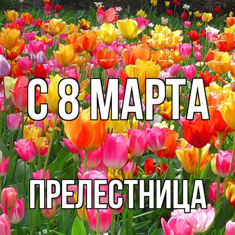 Картинка C 8 МАРТА, Прелестница