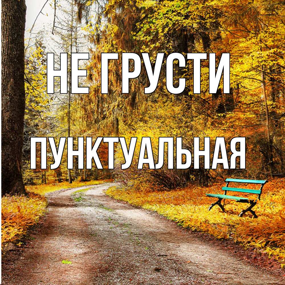 Открытка на каждый день с именем, пунктуальная Не грусти зеленая лавочка Прикольная открытка с пожеланием онлайн скачать бесплатно 