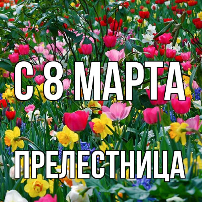 Картинка C 8 МАРТА, Прелестница