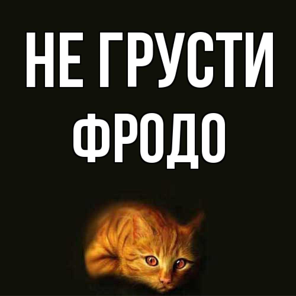 Открытка на каждый день с именем, Фродо Не грусти лежащий кот в темноте Прикольная открытка с пожеланием онлайн скачать бесплатно 