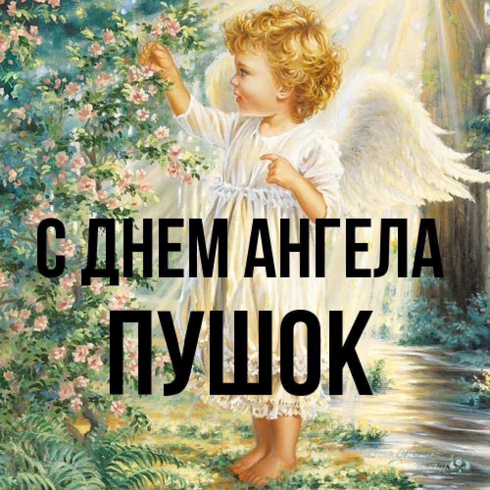 Открытка на каждый день с именем, пушок С днем ангела собирает цветы Прикольная открытка с пожеланием онлайн скачать бесплатно 