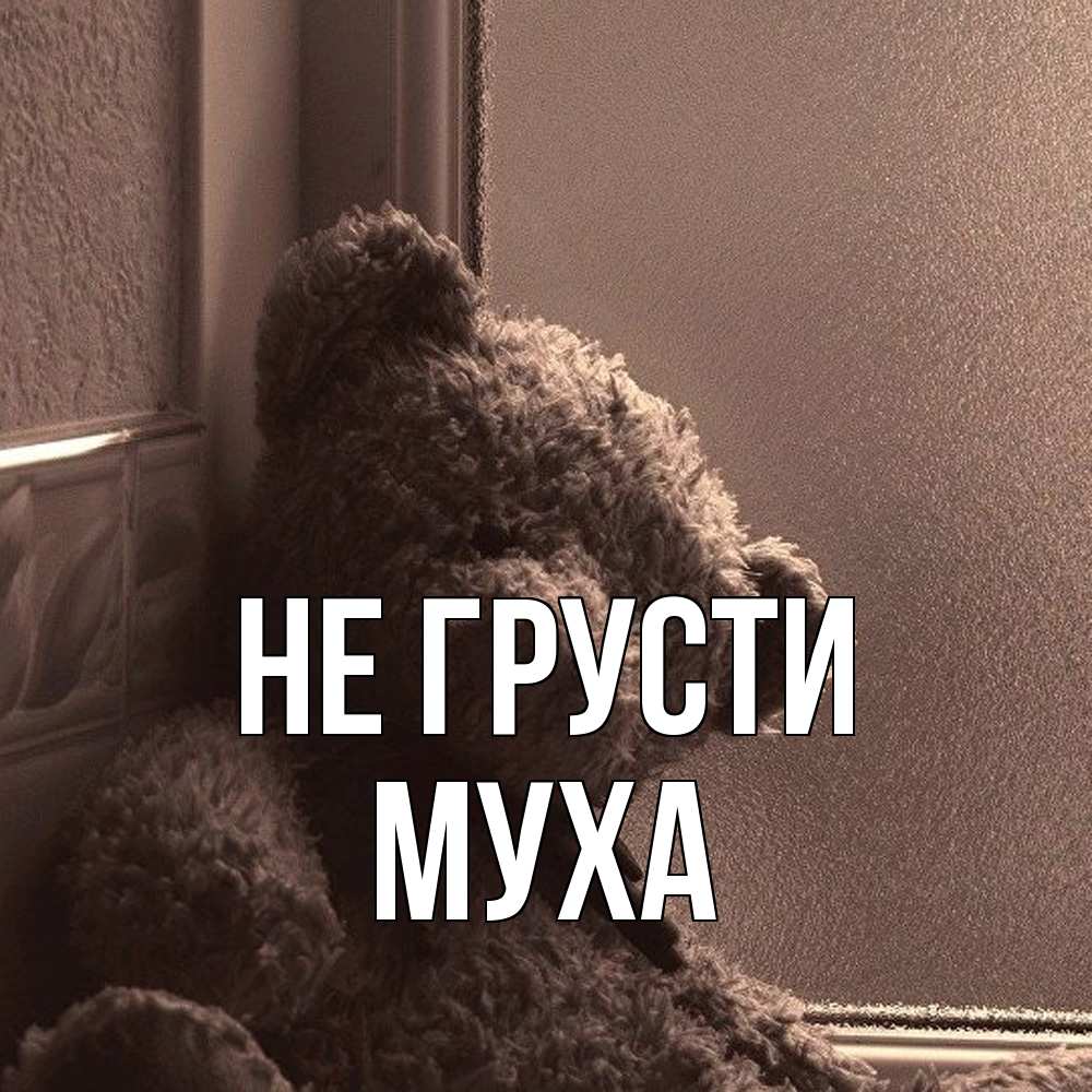 Открытка на каждый день с именем, Муха Не грусти стекол рефленое Прикольная открытка с пожеланием онлайн скачать бесплатно 