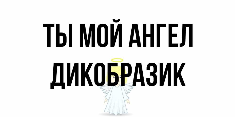 Открытка на каждый день с именем, дикобразик Ты мой ангел ангел Прикольная открытка с пожеланием онлайн скачать бесплатно 