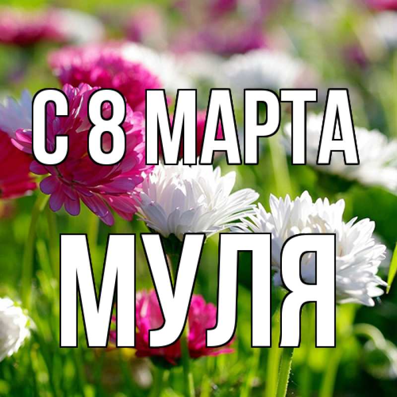 Картинка C 8 МАРТА, Муля