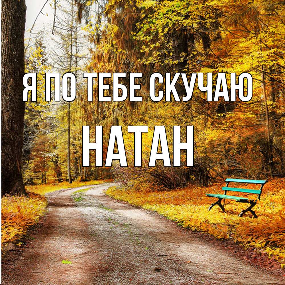 Открытка на каждый день с именем, Натан Я по тебе скучаю зеленая лавочка и осенний лес Прикольная открытка с пожеланием онлайн скачать бесплатно 