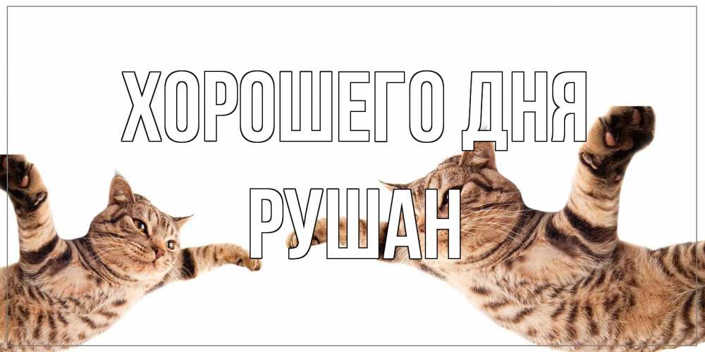 Открытка на каждый день с именем, Рушан Хорошего дня хорошего дня Прикольная открытка с пожеланием онлайн скачать бесплатно 