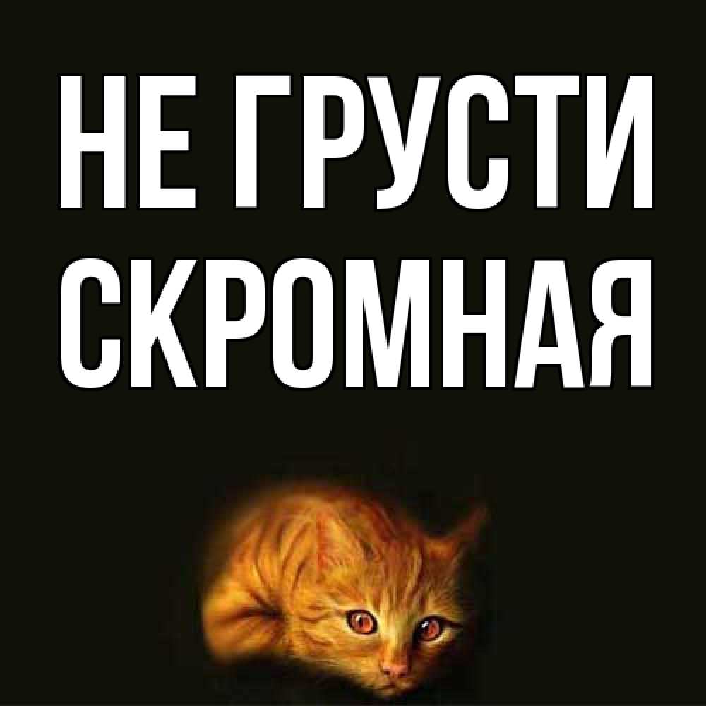 Открытка на каждый день с именем, скромная Не грусти лежащий кот в темноте Прикольная открытка с пожеланием онлайн скачать бесплатно 