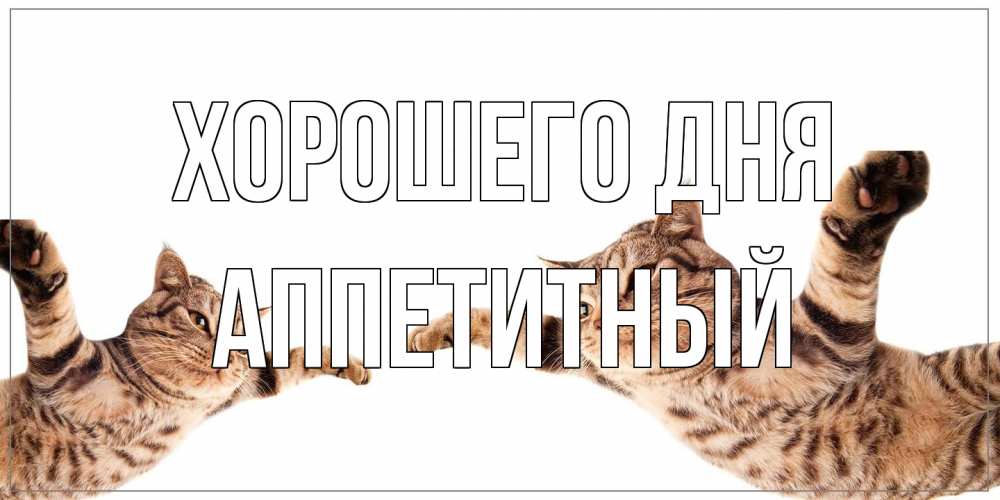 Открытка на каждый день с именем, Аппетитный Хорошего дня хорошего дня Прикольная открытка с пожеланием онлайн скачать бесплатно 