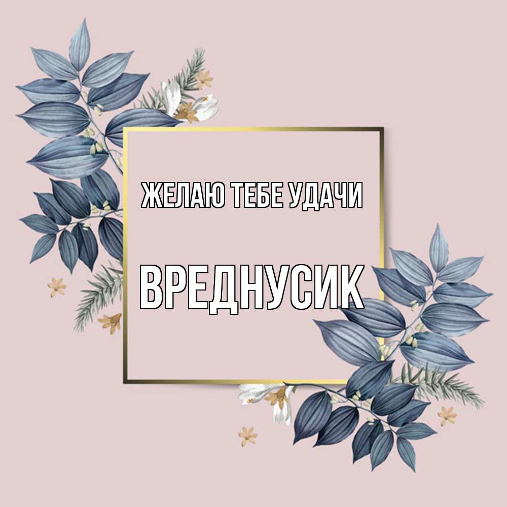 Открытка на каждый день с именем, Вреднусик Желаю тебе удачи листья цветов Прикольная открытка с пожеланием онлайн скачать бесплатно 