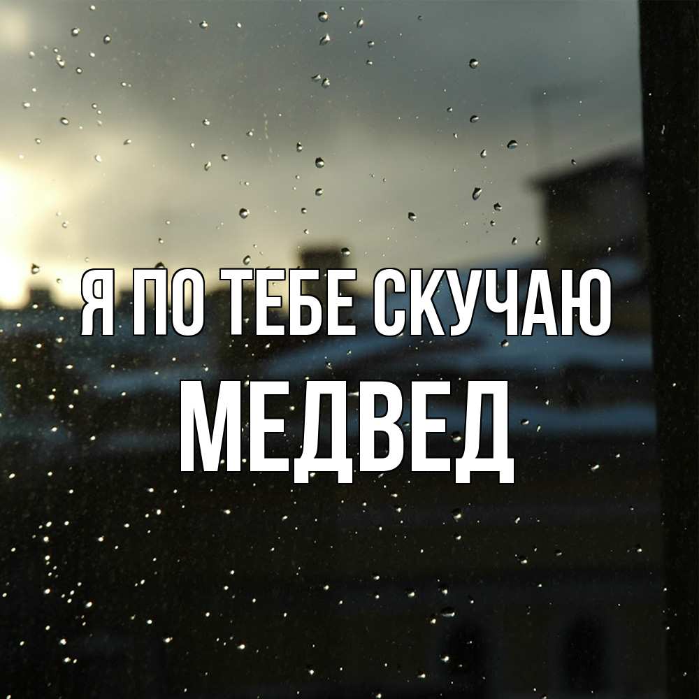 Открытка на каждый день с именем, Медвед Я по тебе скучаю капли на стекле Прикольная открытка с пожеланием онлайн скачать бесплатно 