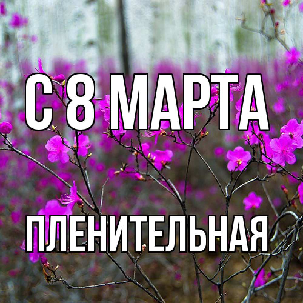 Открытка на каждый день с именем, пленительная C 8 МАРТА дикие цветы Прикольная открытка с пожеланием онлайн скачать бесплатно 