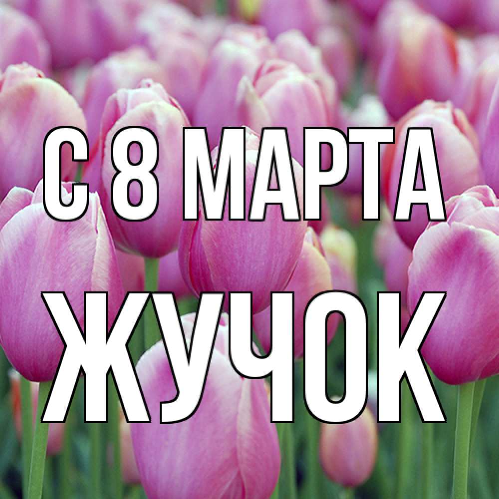 Открытка на каждый день с именем, жучок C 8 МАРТА на международный женский день 3 Прикольная открытка с пожеланием онлайн скачать бесплатно 