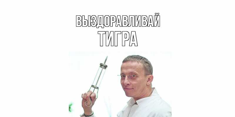 Картинка Выздоравливай, Тигра