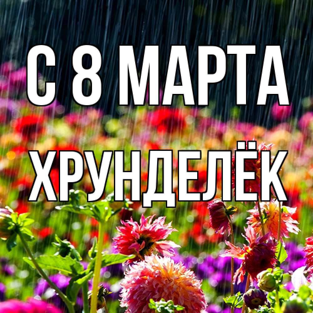 Открытка на каждый день с именем, Хрунделёк C 8 МАРТА цветы под дождиком к международному женскому дню Прикольная открытка с пожеланием онлайн скачать бесплатно 