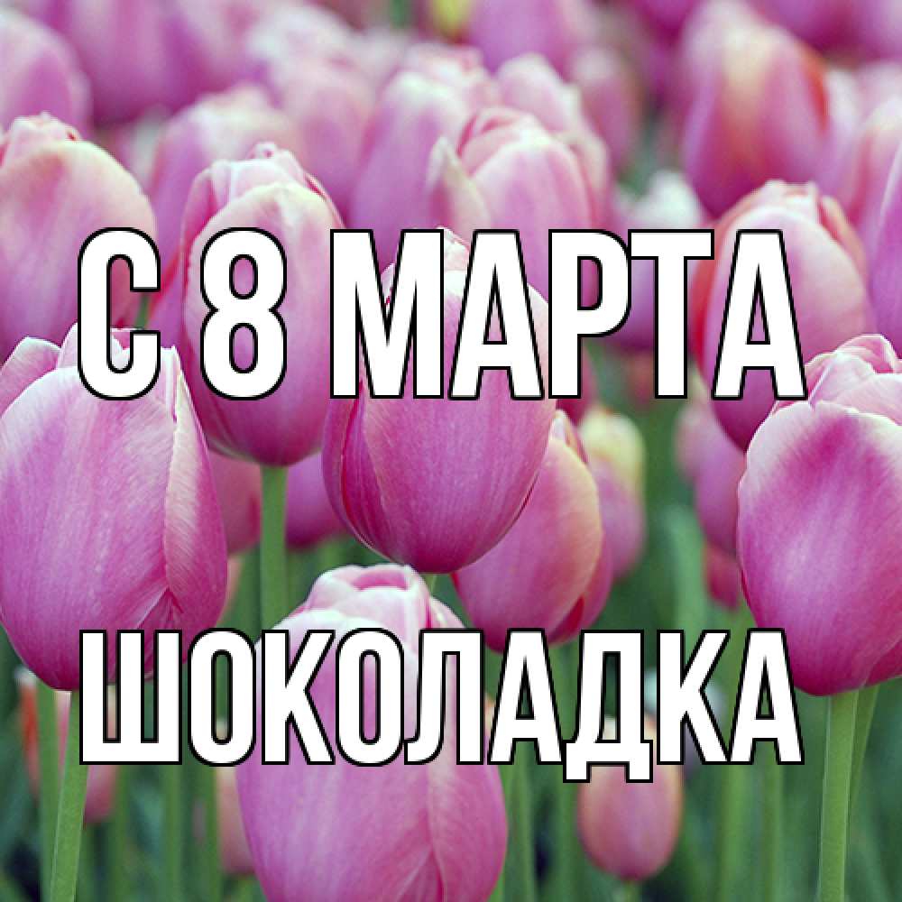 Открытка на каждый день с именем, Шоколадка C 8 МАРТА на международный женский день 3 Прикольная открытка с пожеланием онлайн скачать бесплатно 