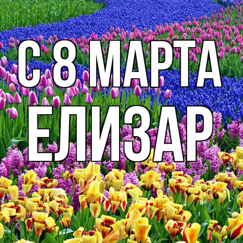 Картинка C 8 МАРТА, Елизар