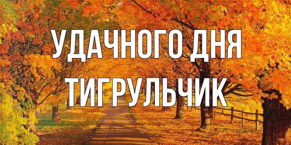 Открытка на каждый день с именем, Тигpульчик Удачного дня деревья с осенними листьями Прикольная открытка с пожеланием онлайн скачать бесплатно 