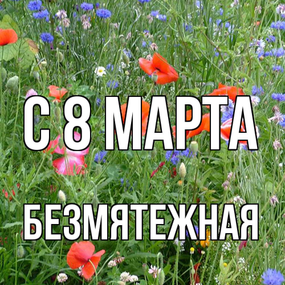 Открытка на каждый день с именем, безмятежная C 8 МАРТА международный женский день 4 Прикольная открытка с пожеланием онлайн скачать бесплатно 