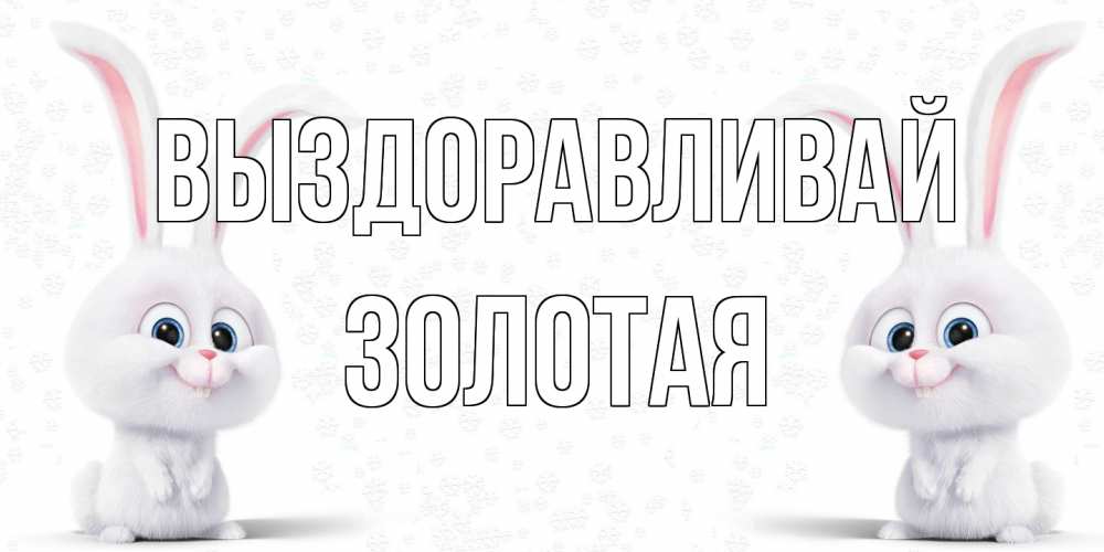 Открытка на каждый день с именем, золотая Выздоравливай не болей с зайцем Прикольная открытка с пожеланием онлайн скачать бесплатно 