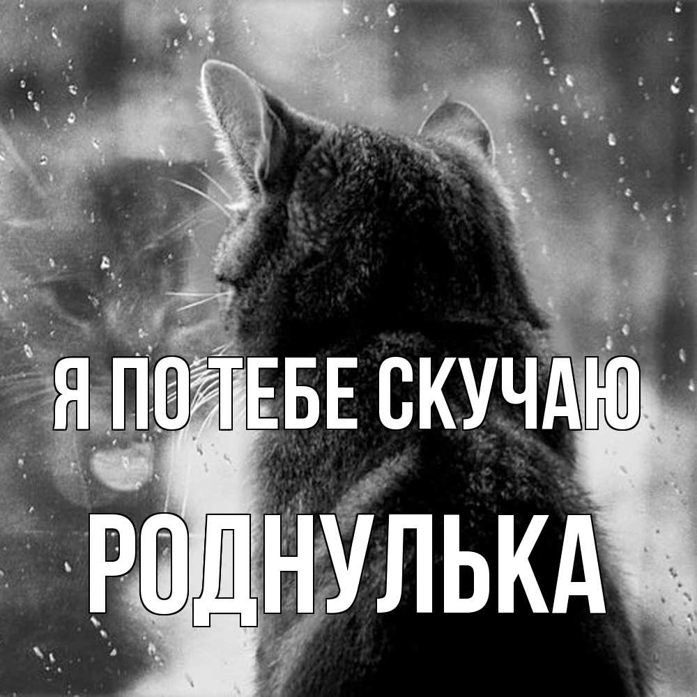 Открытка на каждый день с именем, Роднулька Я по тебе скучаю скорее ко мне приходи 1 Прикольная открытка с пожеланием онлайн скачать бесплатно 