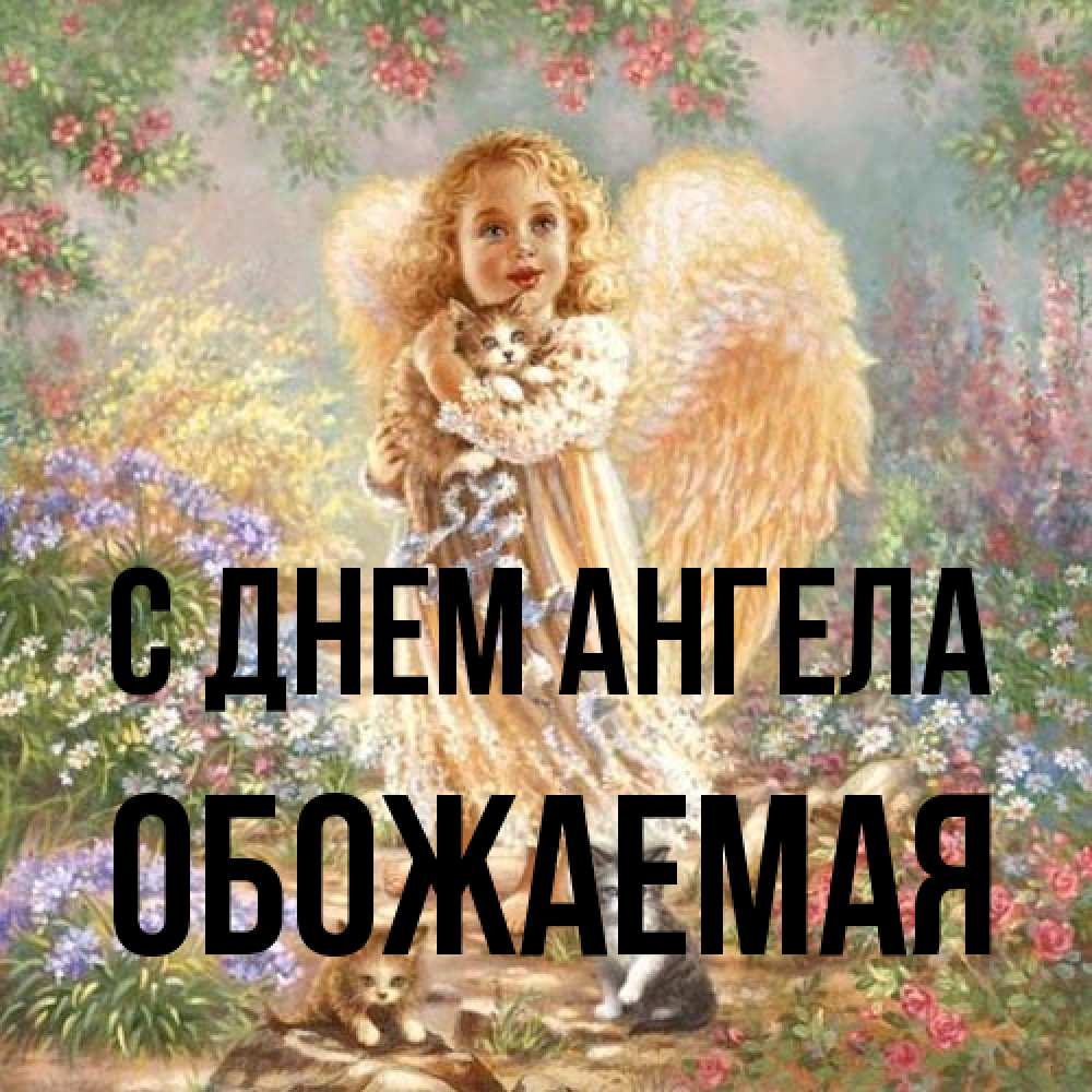 Открытка на каждый день с именем, обожаемая С днем ангела держит котенка Прикольная открытка с пожеланием онлайн скачать бесплатно 