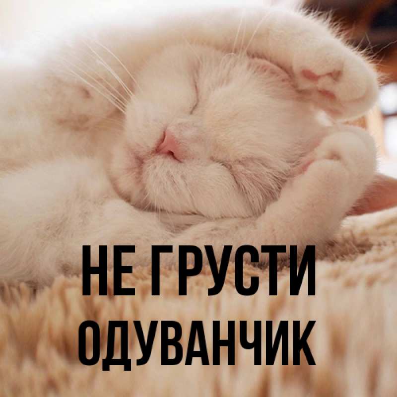 Картинка Не грусти, Одуванчик