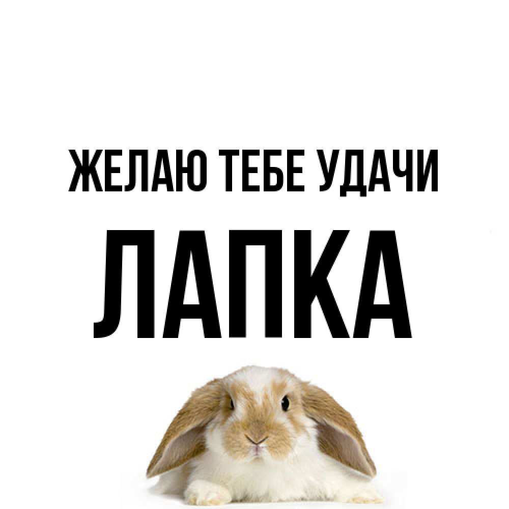 Открытка на каждый день с именем, лапка Желаю тебе удачи открытки с произвольным текстом который можно вставить в открытку и создать ее самостоятельно бесплатно онлайн Прикольная открытка с пожеланием онлайн скачать бесплатно 