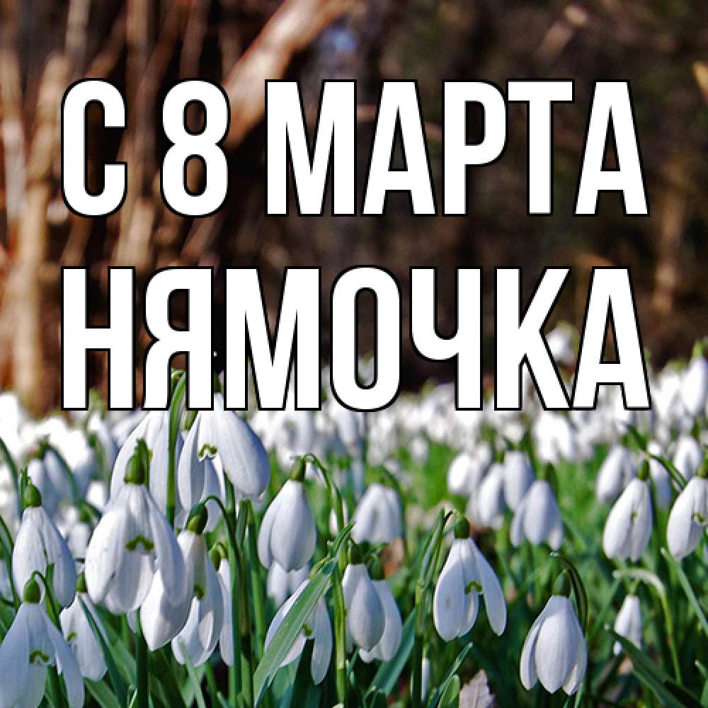Открытка на каждый день с именем, нямочка C 8 МАРТА с подснежниками 1 Прикольная открытка с пожеланием онлайн скачать бесплатно 