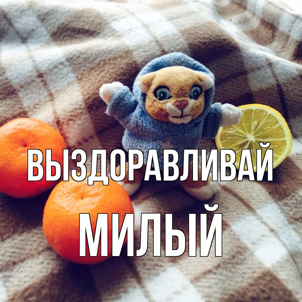 Открытка на каждый день с именем, Милый Выздоравливай вот тебе апельсинка и лимон Прикольная открытка с пожеланием онлайн скачать бесплатно 