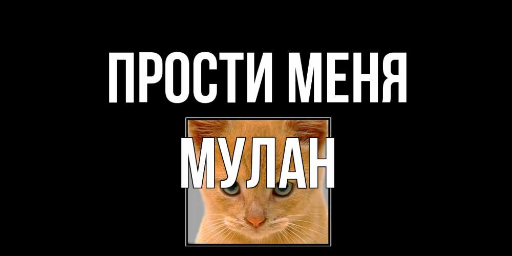 Открытка на каждый день с именем, Мулан Прости меня рыжий грустный кот просит прощения Прикольная открытка с пожеланием онлайн скачать бесплатно 