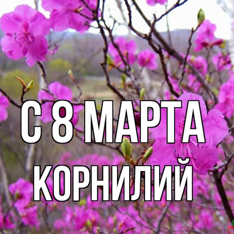 Картинка C 8 МАРТА, Корнилий